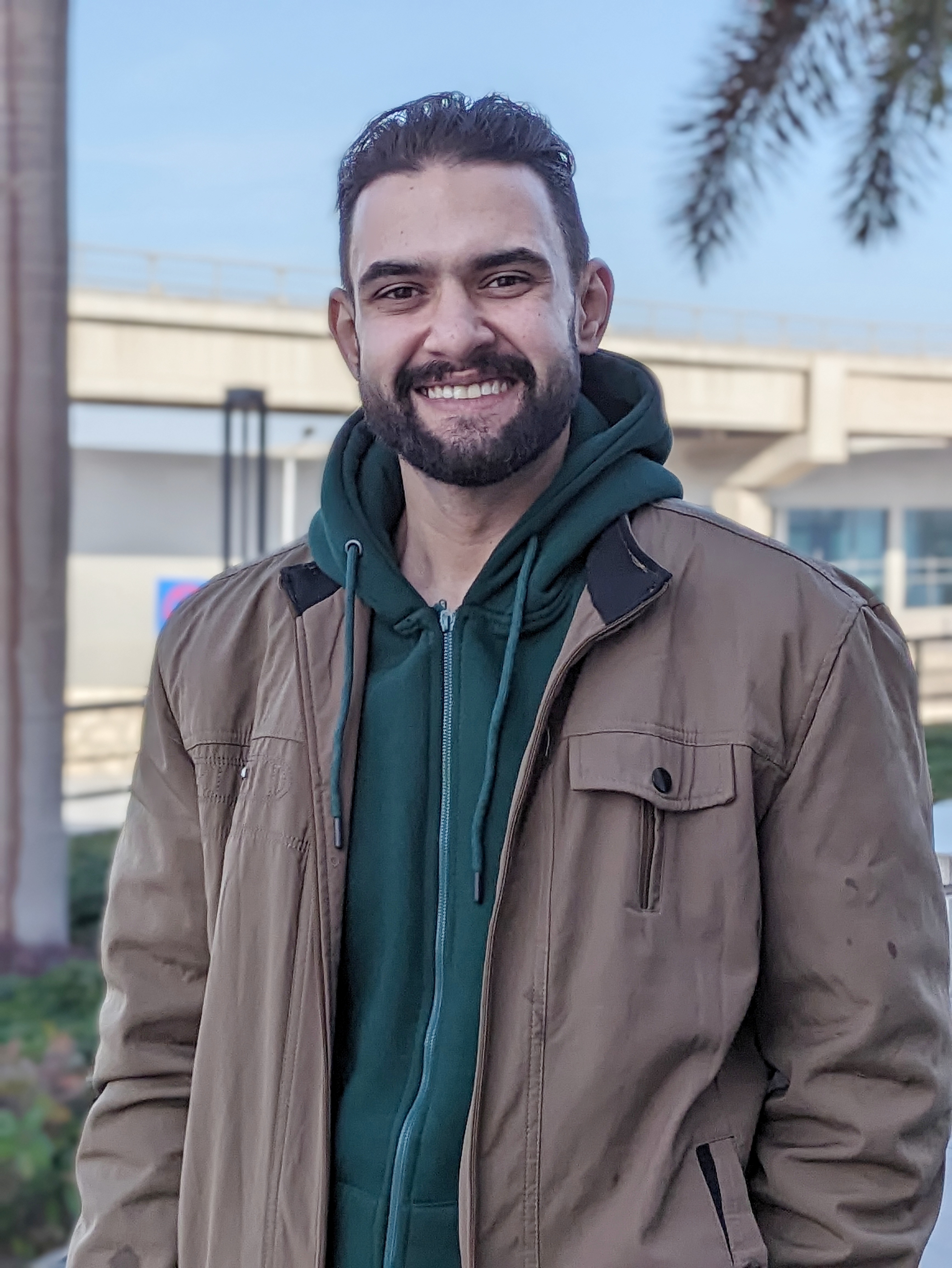 Amr Elsayed